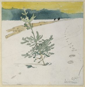 Paysage d